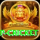 2022 world cup cricket Games (Casino & Earning) Turbo v3.8.2