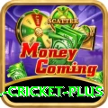 all cricket Premium New