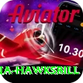 antigua hawksbill Apps (Tools & Injectors) Premium v2.8.1