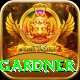 ashleigh gardner Premium v1.1.1