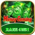 bass fish Games (Casino & Earning) Master v1.6.6