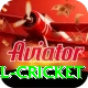 bbl cricket Ultimate Pro v2.0.2
