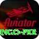 Bingo PKR Games (Casino & Earning) VIP v1.4.6