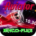 bingo VIP Pro v4.6.7