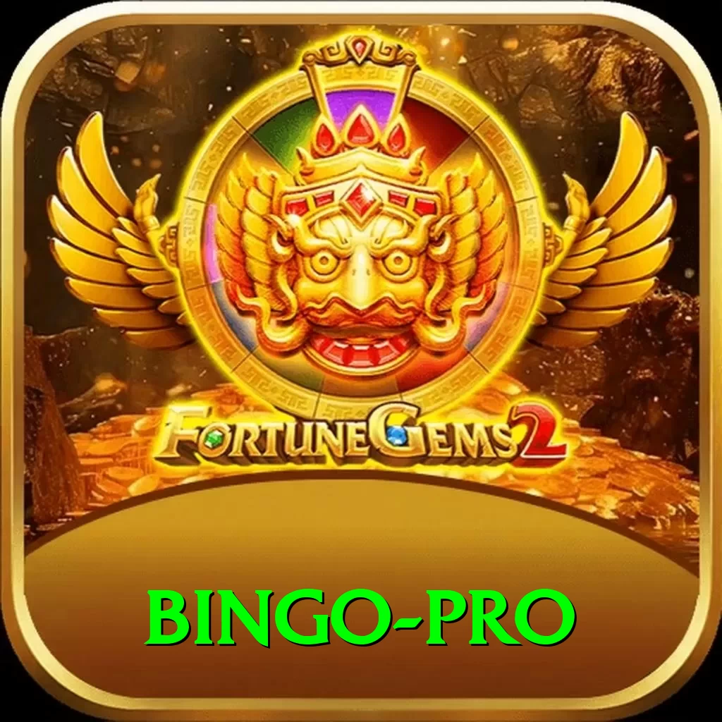 bingo Max v3.1.2 - 2