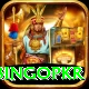 bingopkr Master Pro v5.2.5