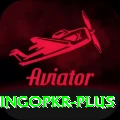 bingopkr Plus v3.1.0