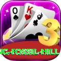 chhusang fossil hill Gold Pro v3.7.4