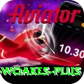 chris woakes Official v1.6.4