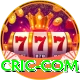 cric com VIP Pro v3.3.9