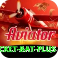 cricket bat Premium v4.4.0