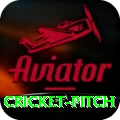 cricket pitch Pro Edition v2.5.3