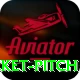 cricket pitch Pro Edition v2.5.3