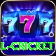 defending total cricket Deluxe v3.0.4