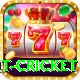 early payout cricket Games (Casino & Earning) Max v4.4.5