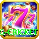 eng cricket Apps (Tools & Injectors) Premium v4.9.2