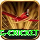 expected goals x g cricket Turbo v3.8.9
