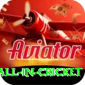 fastest ball in cricket Apps (Tools & Injectors) Turbo v2.4.7