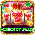 fastest ball in cricket Pro New