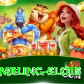 gambling slots Premium v5.3.1
