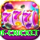 god of cricket Pro Max v1.7.7