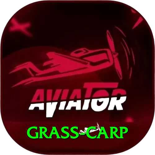 grass carp Plus Pro v2.9.4 - 2