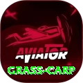 grass carp Plus Pro v2.9.4