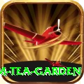 hile ilam tea garden Games (Casino & Earning) VIP v3.0.4