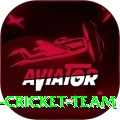 hong kong cricket team Ultimate v3.4.5