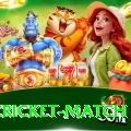 india cricket match Apps (Tools & Injectors) Plus v5.5.4