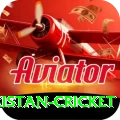india pakistan cricket Max Pro v1.7.8