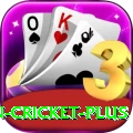 india pakistan cricket Casino Mega v2.3.9