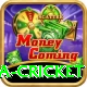 india sri lanka cricket Games (Casino & Earning) Elite v2.4.5