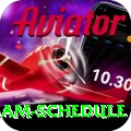 indian cricket team schedule Pro Edition v1.3.8