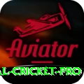 international cricket Super v2.9.7