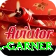 joel garner Master Pro v5.2.7