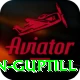 martin guptill Gold Edition v3.2.0