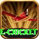 mobile cricket Apps (Tools & Injectors) VIP v4.2.4