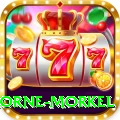 morne morkel Premium v4.3.3
