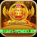 naseem shah yorkers Deluxe Pro v2.5.7