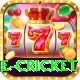 one cricket Games (Casino & Earning) Plus v4.2.7