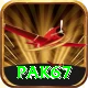 Pak67 Apps (Tools & Injectors) Pro vv1.6.8