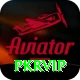 pkrvip Pro1 v1.7.6