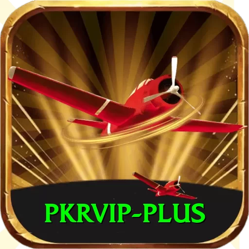 pkrvip Pro1 v2.3.2 - 2