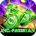 responsible gambling pakistan Deluxe v1.4.5