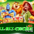 risk free bet cricket Master Pro v2.0.8