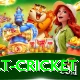 risk free bet cricket Master Pro v2.0.8