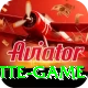 roulette game Plus Pro v5.3.2