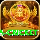 sa cricket Apps (Tools & Injectors) Plus v4.7.9