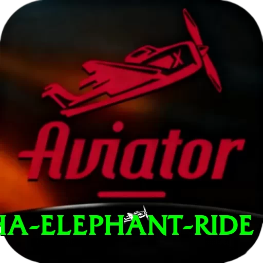 sauraha elephant ride Plus Pro v5.6.3 - 2